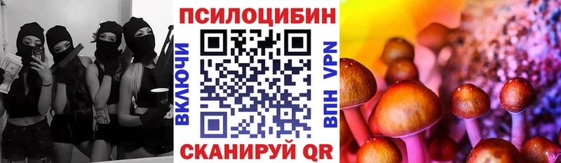 Псилоцибиновые грибы MAGIC MUSHROOMS  площадка формула  Лысково 